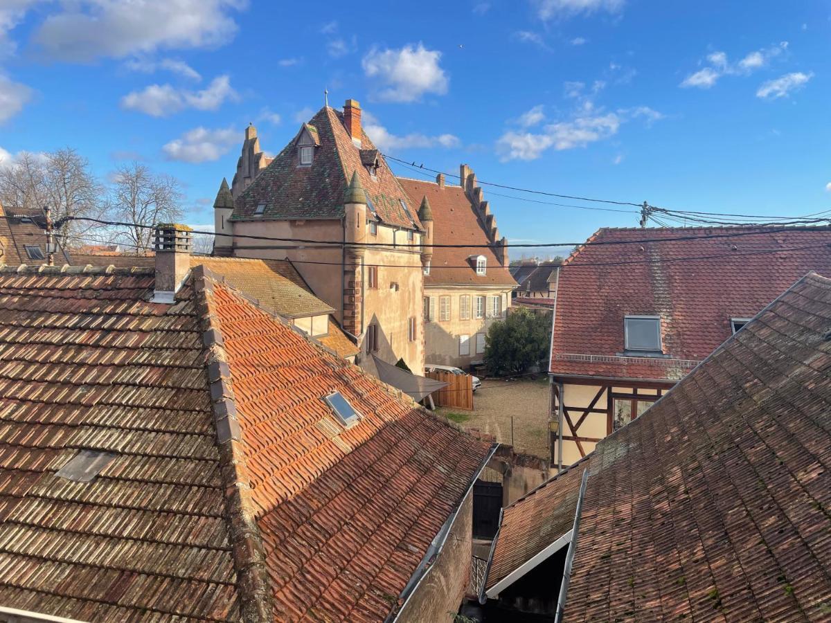 3 Pieces Centre Ville Ville Pittoresques Parking Gratuit A 5 Minutes A Pied Obernai Ngoại thất bức ảnh